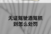 无证办学的后果是什么？如何避免违规处罚？