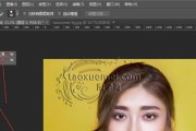 新手入门教程（从零开始）