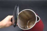 如何有效除去蒸汽电熨斗的水垢（掌握正确方法）