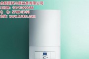 壁挂炉故障处理方法（解决常见问题）