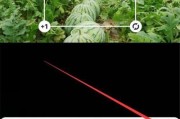 手机拍照文字效果如何优化？