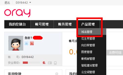 从申请域名到建立网站的步骤（详细指南帮助你轻松搭建个人网站）