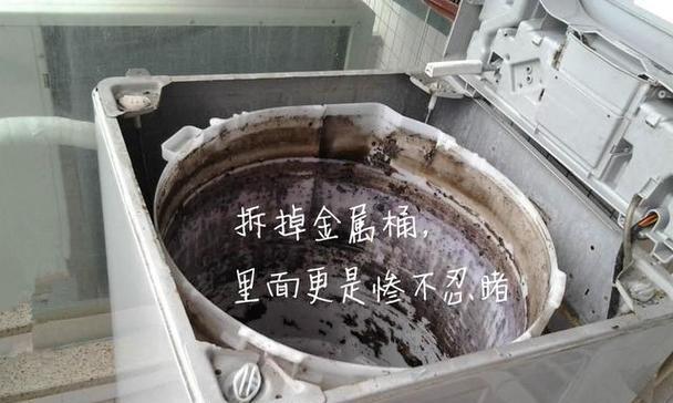 洗衣机清洁大揭秘（神奇方法教你轻松清除洗衣机污垢）