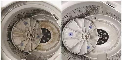 如何正确清洗滚筒洗衣机的橡皮圈（保护橡皮圈延长洗衣机使用寿命）