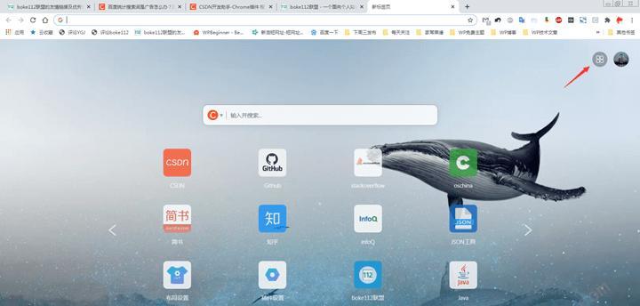 选择最快最好用的浏览器是什么（探索各种浏览器性能）