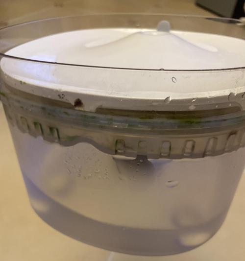 清除饮水机水箱青苔的方法及注意事项（有效清除水箱内的青苔）