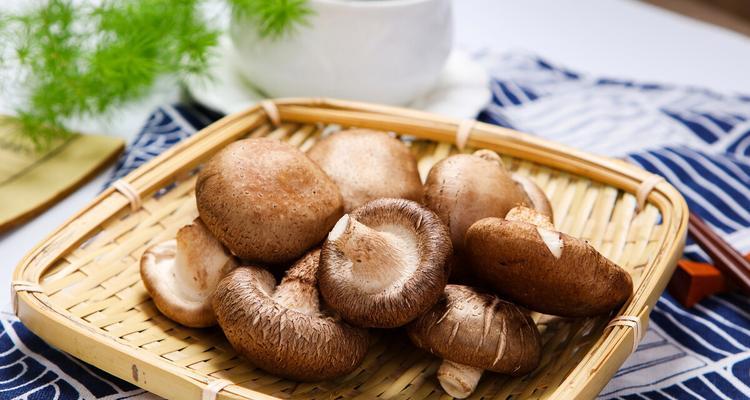 香菇冰柜储存方法（如何正确保存香菇以延长其保鲜期）