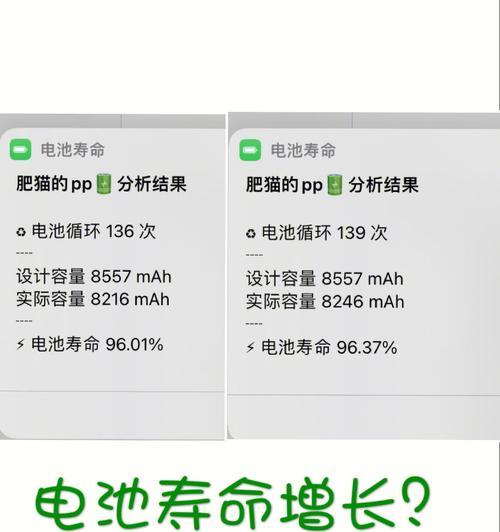 如何查询iPad电池寿命（透过简单步骤了解你的iPad电池寿命如何）