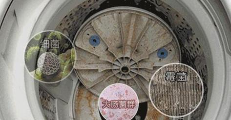冰箱清洗的有效方法（保持冰箱清洁）