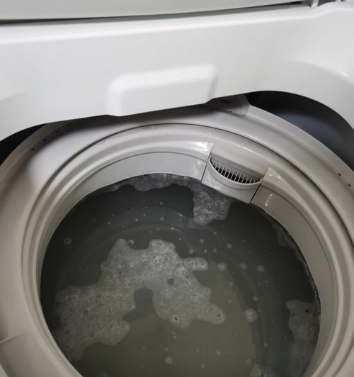 家用洗衣机的清洗与保养（延长洗衣机寿命的关键技巧）