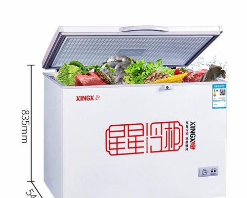 冰箱冰柜管道焊接方法及注意事项（全面解析冰箱冰柜管道的焊接技巧和关键环节）