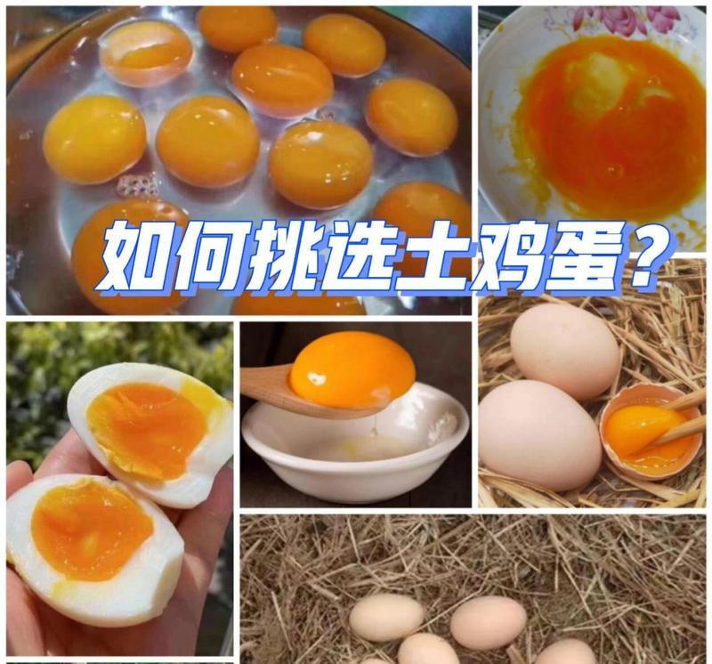 如何识别土鸡蛋好坏？土鸡蛋真假辨别方法是什么？