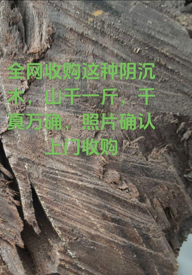 乌木为什么值钱呢？了解其珍贵属性和市场价值