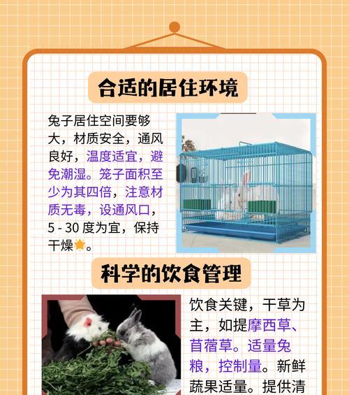 宠物兔子幼崽怎么养？常见问题有哪些解决方法？