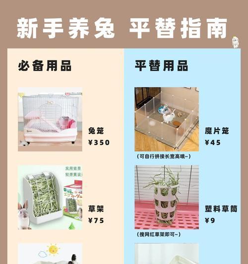 宠物兔子幼崽怎么养？常见问题有哪些解决方法？