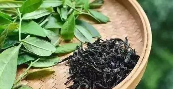 怎么看茶叶好不好？茶叶品质的判断标准是什么？