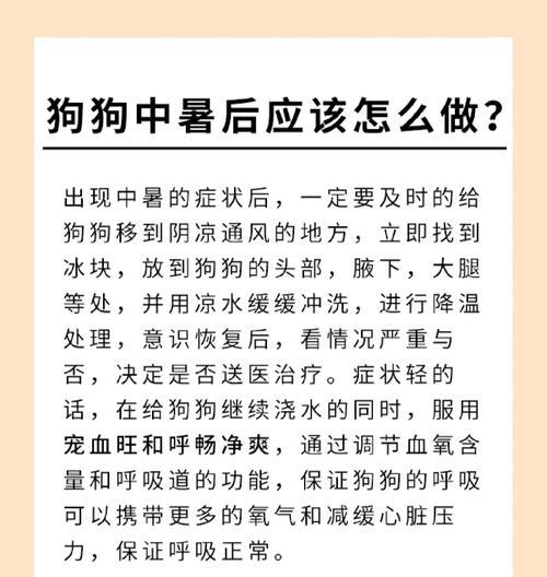 狗狗中暑了怎么办？如何快速识别和应对？