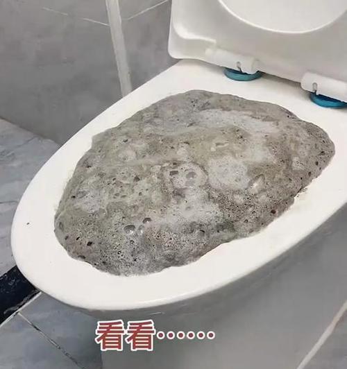 家里座便器堵了怎么办？快速解决方法有哪些？