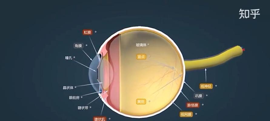 近视眼如何矫正视力最佳？选择哪种方法最有效？