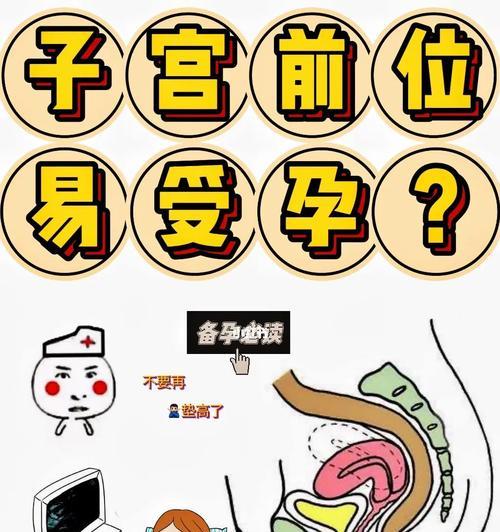 子宫后位如何提高受孕率？有效方法有哪些？