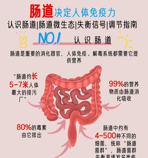 肚子胀是怎么回事？常见原因及解决方法是什么？