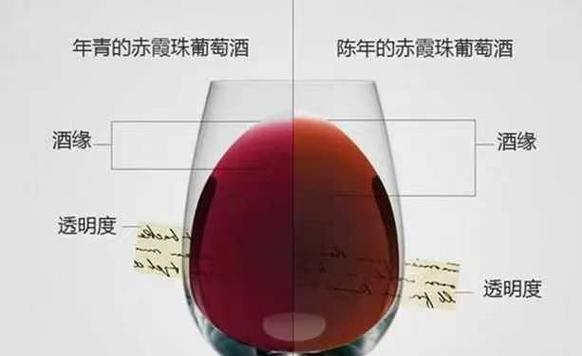 葡萄酒的酿制方法过程是怎样的？酿制过程中常见问题有哪些？