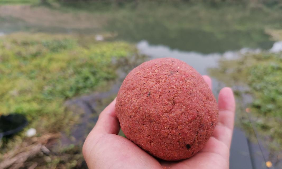 钓鲤鱼饵料配方大全简单实用？如何快速找到适合的鲤鱼饵料？