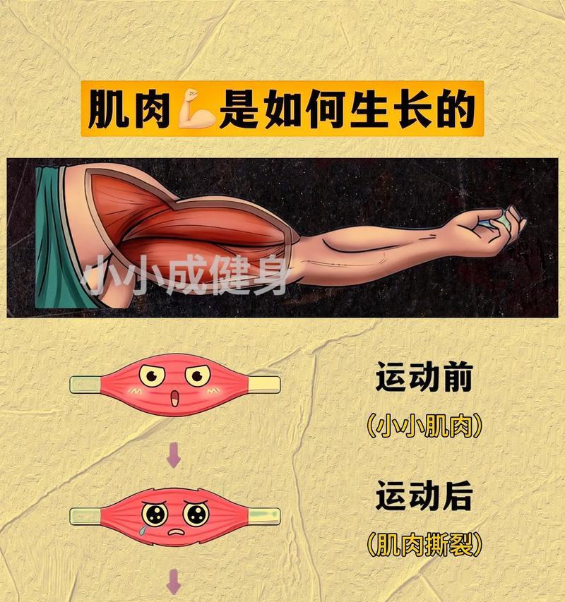 新手应该怎么健身增肌？健身初学者增肌的正确方法是什么？