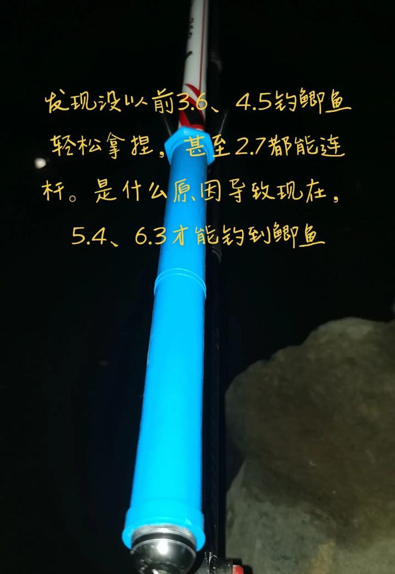 怎么才能钓到鲫鱼？最佳钓鲫鱼技巧与装备推荐是什么？