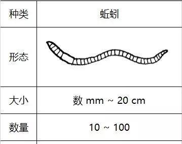 如何正确计算土地面积？土地测量常见问题解答？
