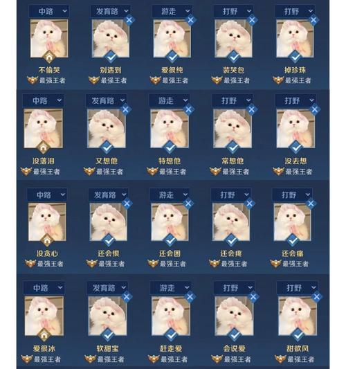 最新苹果外区id账号共享怎么操作？共享账号有哪些常见问题？