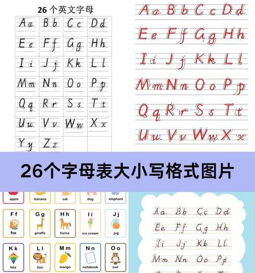字母大小写正确格式是什么？如何确保格式统一？
