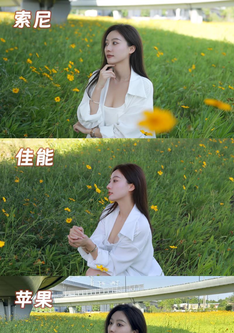 手机横着拍照照片好小怎么办？如何调整？