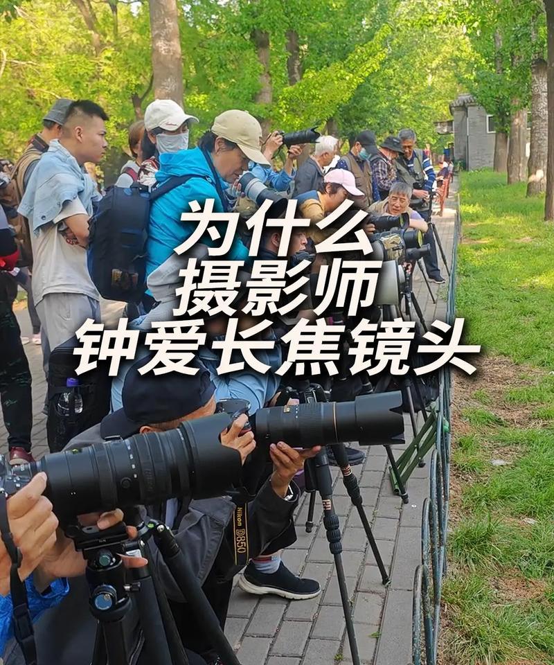 手机如何使用中长长焦镜头拍照？有哪些技巧？