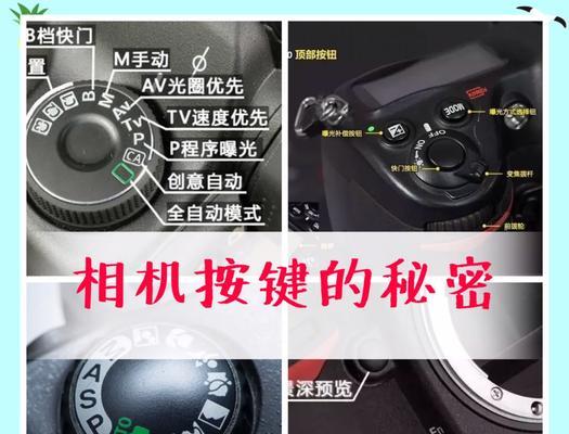 手机前置翻盖相机怎么使用？拍照技巧有哪些？