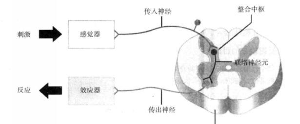 大型弧型投影仪使用方法？如何正确设置和操作弧型投影仪？