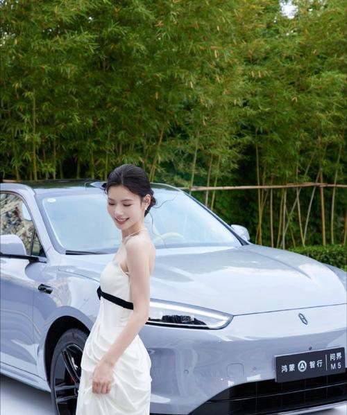 问界手机远程拍照如何操作？操作步骤是什么？