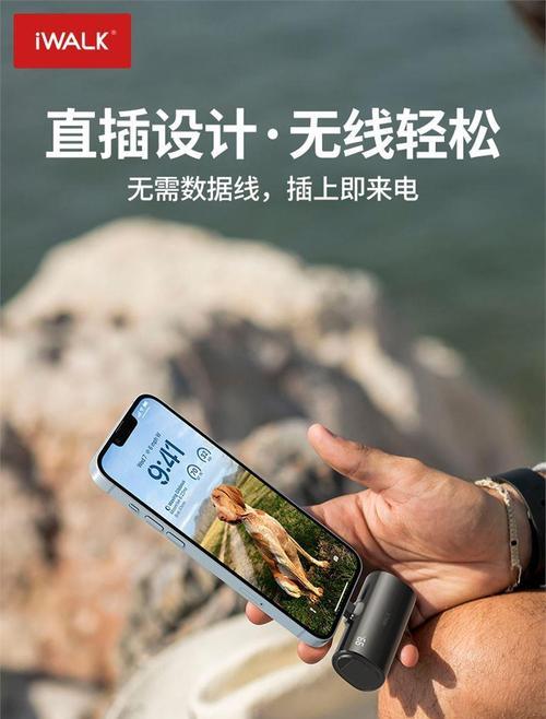 天福苑充电器电话号码是多少？联系客服需要了解哪些信息？