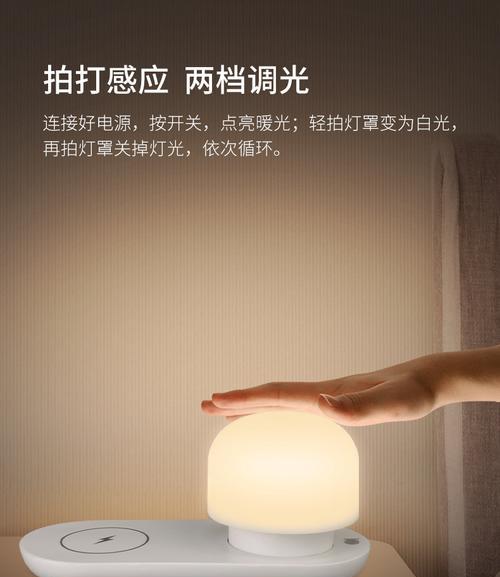 十颗灯的充电器叫什么？这种充电器有什么特别之处？