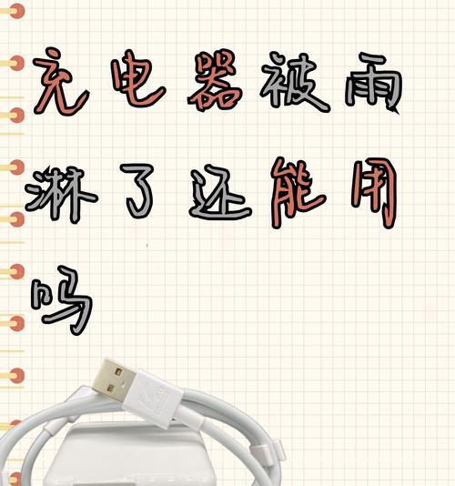 如何防止他人使用我的充电器？充电安全有哪些小技巧？
