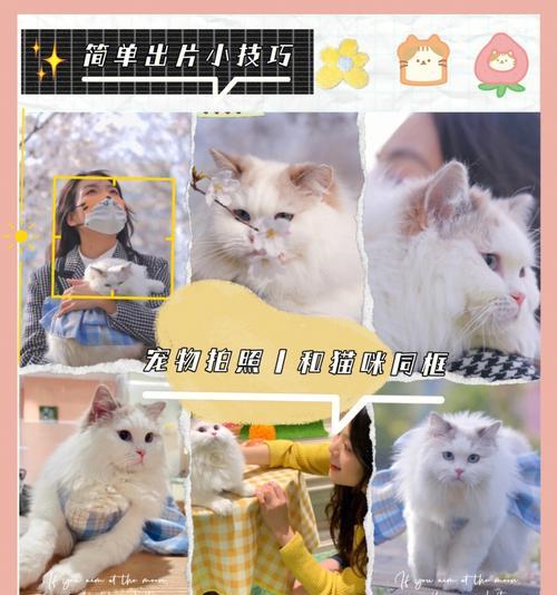 灵狐宠物模拟器怎么玩？有哪些技巧？