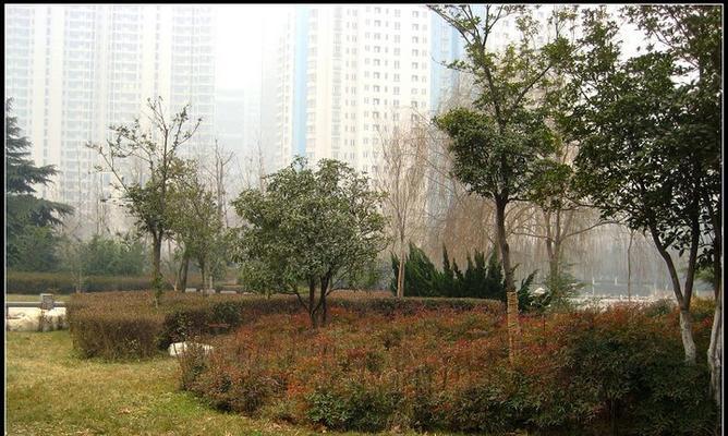 数码相机画面灰蒙蒙的原因是什么？