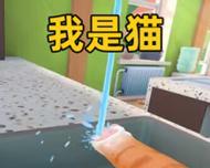 小猫模拟器任务完成方法是什么？如何快速完成所有任务？