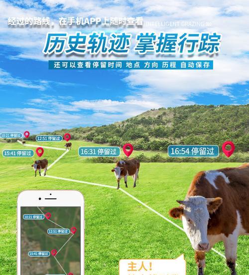 定位卡集中充电器使用方法是什么？