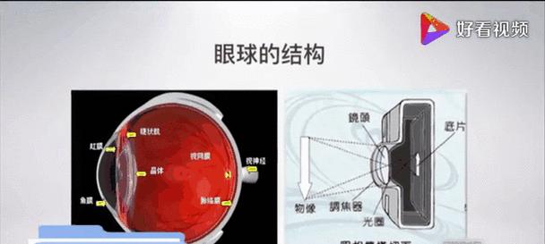 挂肩式电风扇的正确名称是什么？它的工作原理是怎样的？