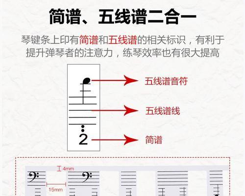 键盘乐谱中的缩写代表什么含义？