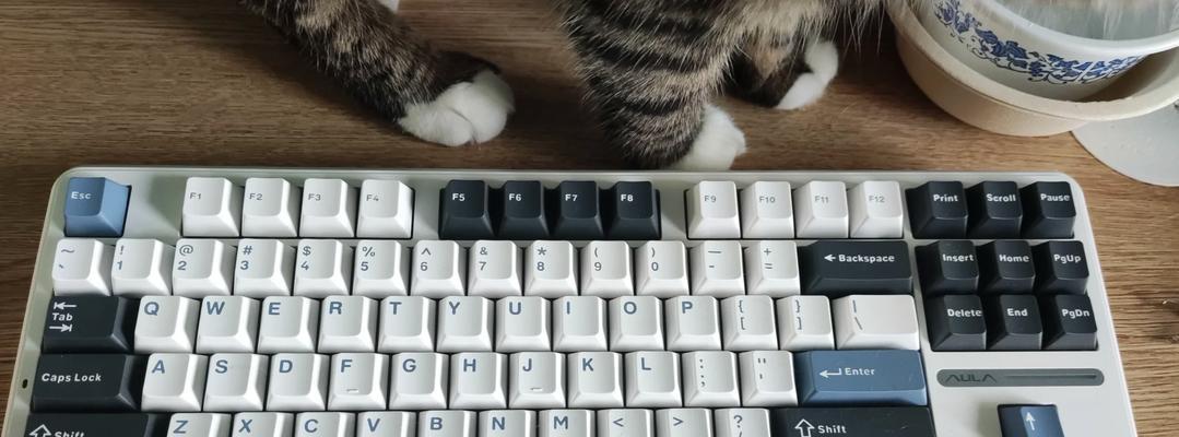 漫步猫键盘哪个轴体好？轴体选择建议是什么？