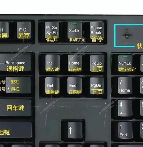 怎么把电脑键盘变高级？提升键盘外观和性能的方法是什么？