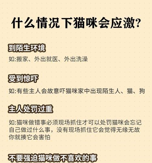 用狗拉电瓶车会受到什么处罚？罚款金额是多少？