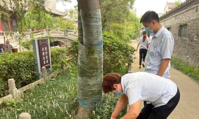 祭祀相关电视片段的亮点是什么？